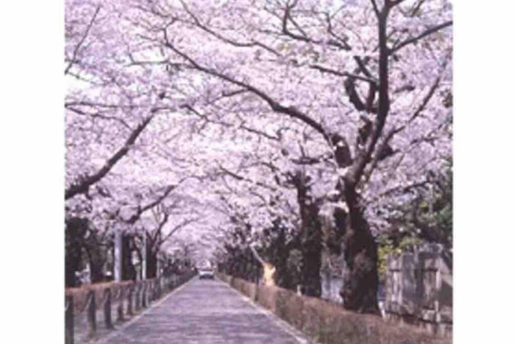 Small Villa Tokyo 渋谷まで2駅10分 青山一丁目駅徒歩3分一軒家ペット歓迎お子様歓迎駐車場あり6人までok 외부 사진